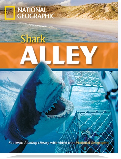Shark Alley 
